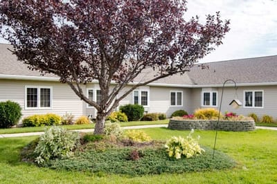 Well-kept outdoor space with garden and tree