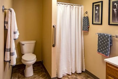 Well-appointed bathroom with towels and decor