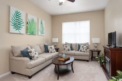 Bright living room with modern decor and comfortable seating