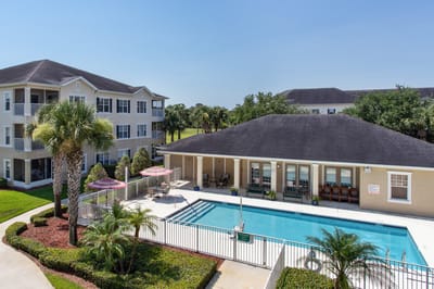 Outdoor view of a pool area with palm trees