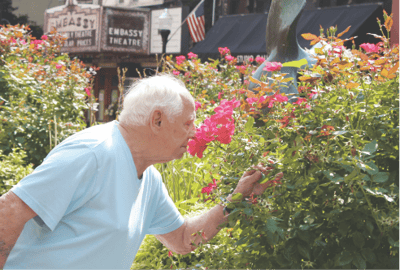 Senior man enjoying flowers in a garden