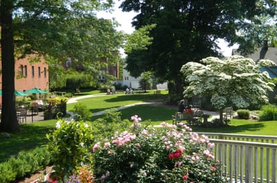 Residents enjoying the garden area on a sunny day