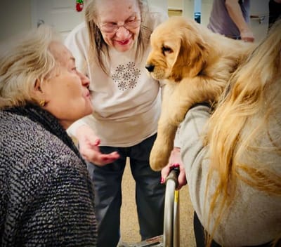 Residents interacting with a puppy indoors