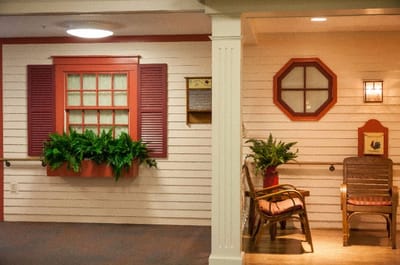 Decorative interior with window and plants