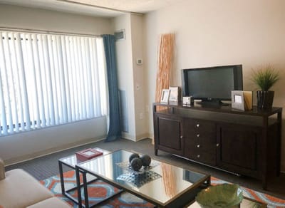 Bright, furnished common area with modern decor