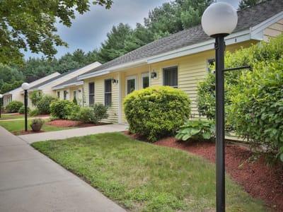 Pathway lined with yellow cottages and greenery