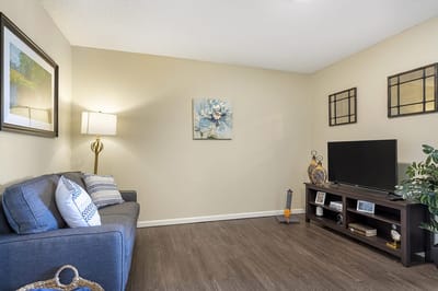 Cozy interior living area with couch and TV