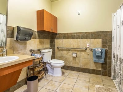 Accessible bathroom with grab bars and sink
