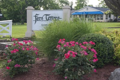 Sign for Fern Terrace surrounded by flowers
