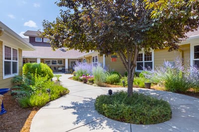 Pathway through a vibrant garden with flowering plants
