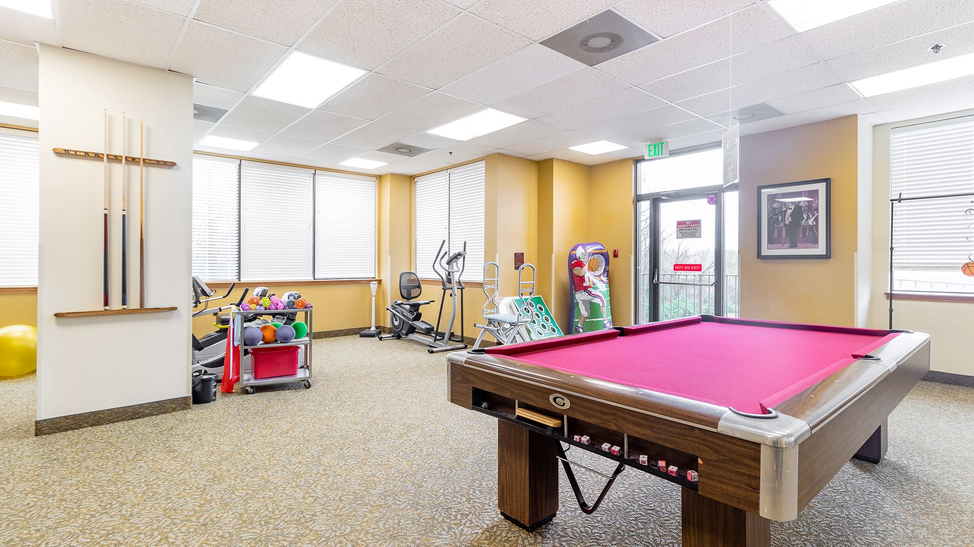 Bright interior game room with pool table and fitness equipment