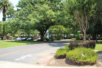 Pathway lined with trees leading to the facility