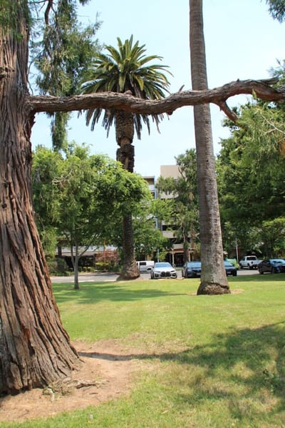 Landscape view of a well-maintained outdoor space