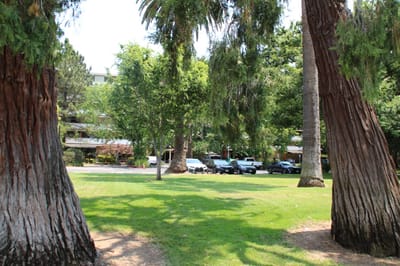 View of the facility courtyard with palm trees