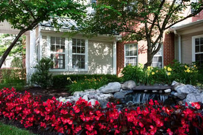 Beautiful outdoor garden with flowers and a small water feature