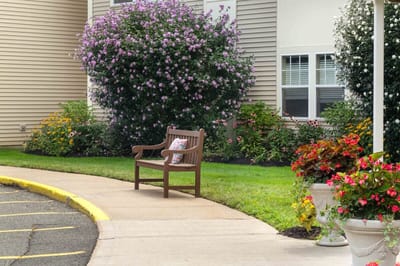 Outdoor bench surrounded by flowers and greenery