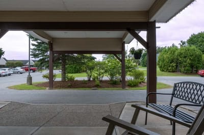 View of outdoor area with trees and parking lot