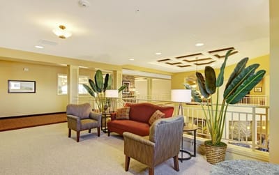 Lounge area with seating and plants