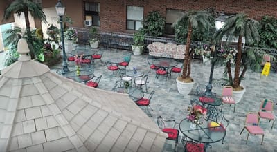 Outdoor seating area with decorative plants and tables