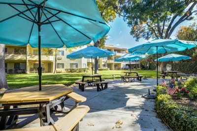 Outdoor seating area with umbrellas and picnic tables