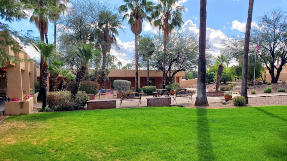 Outdoor space with palm trees and walking areas