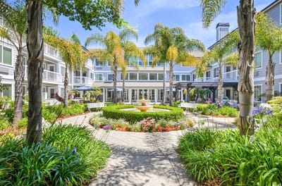 Beautiful courtyard with palm trees and flowers