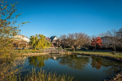 Scenic view of a serene pond and landscaping