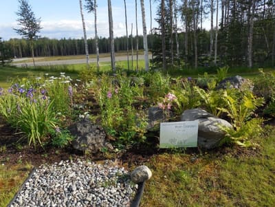 Beautiful outdoor flower garden with sign