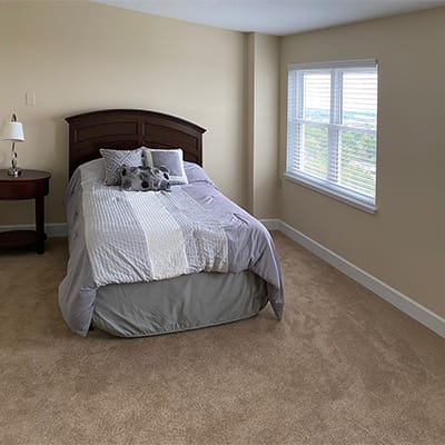 Cozy bedroom with a single bed and window