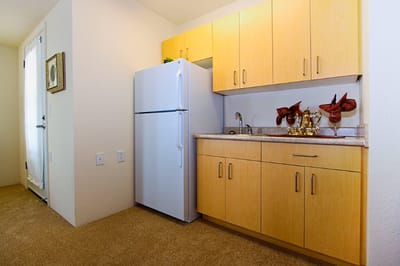 Interior view of a kitchenette in a senior living unit