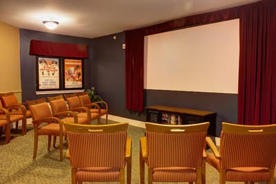 Interior of a small movie theater with seating