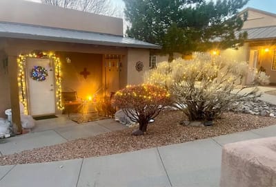 Festively decorated outdoor space with lights and plants