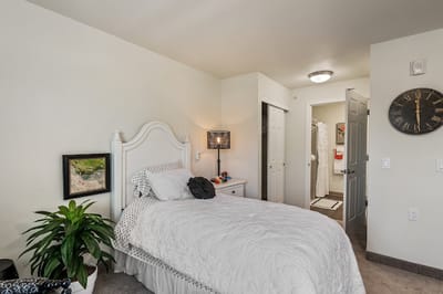 Cozy interior room with a single bed and decor