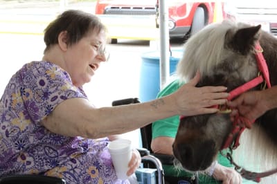 Resident interacting with a pony during an activity.
