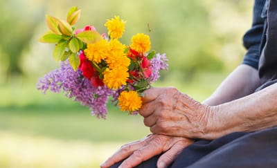 Close-up of a hand holding a bouquet of flowers