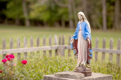 A statue of the Virgin Mary in a garden area.