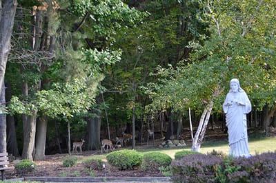 Statue of a figure among trees and deer