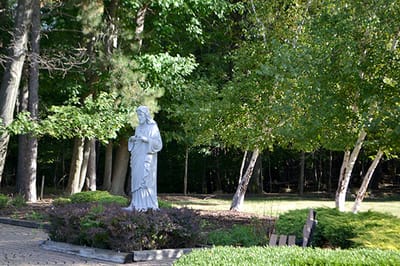 Statue in a serene outdoor garden area