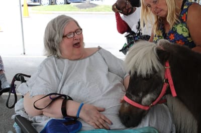 Resident interacting with a therapy pony outdoors.