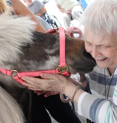 Resident interacting with a small horse.