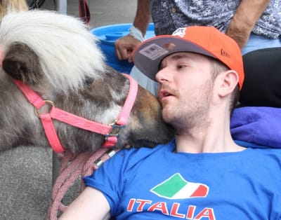 Resident interacting with a miniature horse.