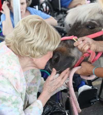 Resident interacting with a therapy pony.