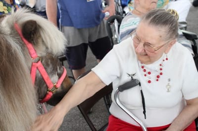 Resident interacting with a miniature horse.