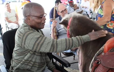Resident interacting with a pony at a community event.