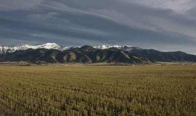 Scenic view of mountains and fields