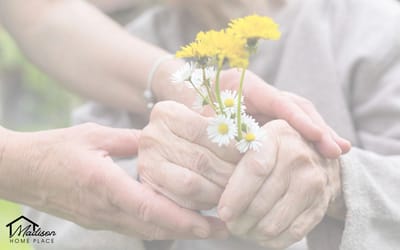 Hands holding wildflowers in a caring gesture