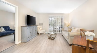 Bright and cozy interior of a living space