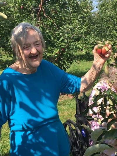 Resident enjoying apple picking in an orchard