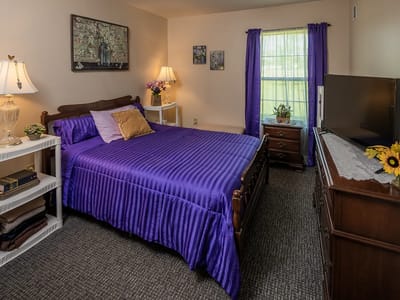 Cozy private bedroom with purple accents and natural light