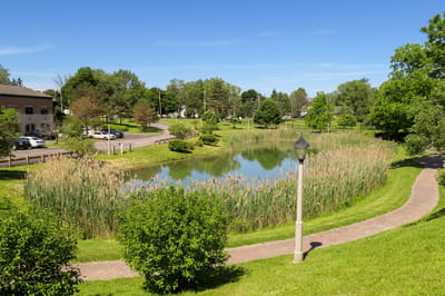 Scenic view of a pond and walking path
